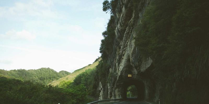 头皮抗衰与护理新趋势：专业沙龙如何通过头皮管理提升面部紧致度与发质