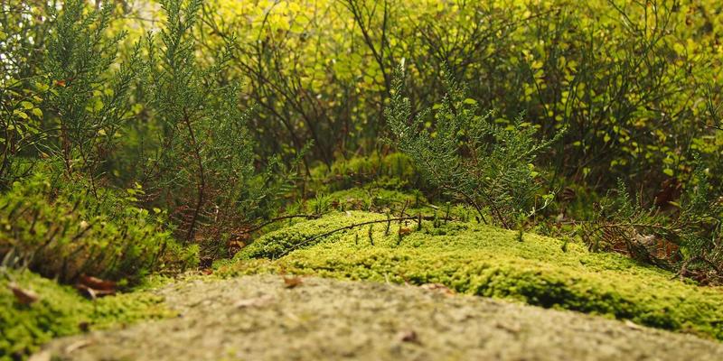 敏感肌也能安心刷酸！专业级温和焕肤攻略，从居家护理到美甲造型全解析