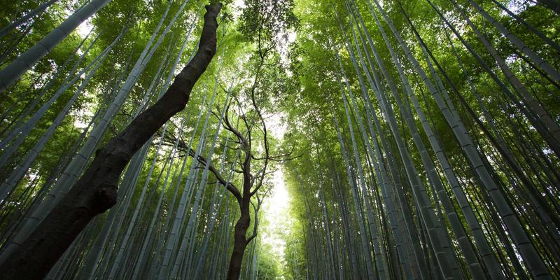 美容48：揭秘专业服务如何通过深度护理与SPA体验重塑肌肤新生