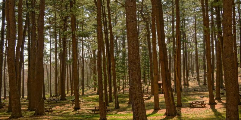 美容98：解锁SPA与造型艺术，开启全方位美丽旅程