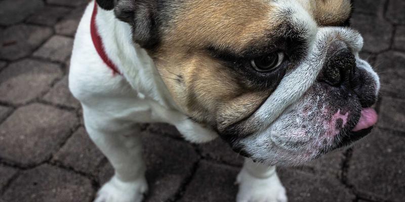 轻医美术后黄金修复期全攻略：如何在家巩固专业美容效果