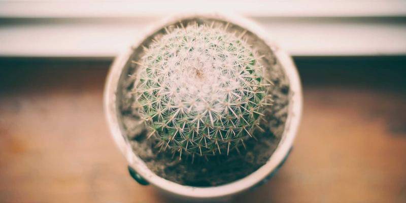 造型、美容与美甲：打造整体美的艺术三部曲